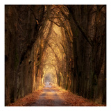 Autumnal