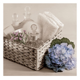 Hydrangea and Basket 2