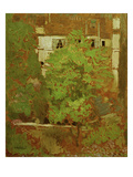 Chestnut Trees in Rue Truffaut (in the 17th Arrondissement in Paris)  c1900