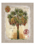 Linen Cabbage Palm Tree