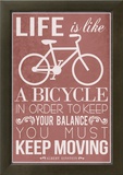 Life Is Like a Bicycle