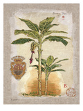 Linen Banana Palm Tree