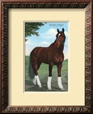 Whirlaway  Kentucky Derby Winner
