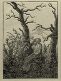 The Woman with the Cobweb Between Bare Trees