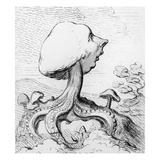 An Exrescence; a Fungus; Alias a Toadstool Upon a Dunghill