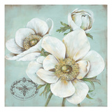 Anemone Stamp