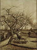 Parsonage Garden in Nuenen  March 1884