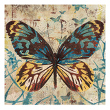 Butterfly Beauty 1