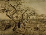 Winter Garden  March 1884