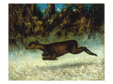 Jumping Deer