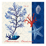 Coastal Botanical