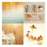 Nature's Elements