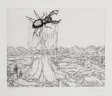 Untitled - (Beetle)