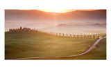 Morning in Val d'Orcia