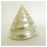 Shell I (oversize)