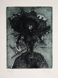 Shah Mat Suite - Lady