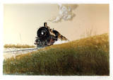 Steam