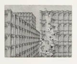 Untitled (1-D)