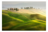 The Farm