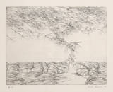 Untitled (1-A)