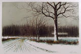 Spring Road