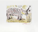 Rhinoceros