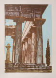 Temple at Paestrum III