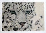 Snow Leopard