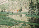 Pinte Meadow