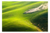 Pasturage