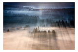 Rays