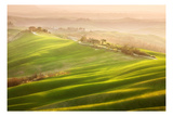 Late Afternoon