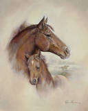 Race Horse II
