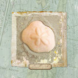 Seashore Collection VI
