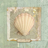 Seashore Collection II