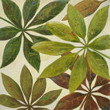 Green Touch II