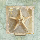 Seashore Collection III