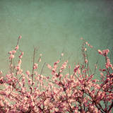 Springtime I