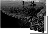 Surf 1  2009