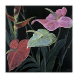 In Bloom II