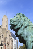 One of Two Iconic Bronze Lion Statues Outside the Art Institute of Chicago  Chicago  Illinois  USA