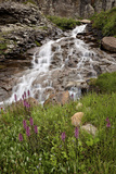 Cascades and Elephant Heads  San Juan Nat'l Forest  Colorado  USA