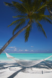 Hammock on Tropical Beach  Maldives  Indian Ocean  Asia