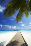 Wooden Jetty Out to Tropical Sea  Maldives  Indian Ocean  Asia