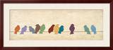 Birds Meeting