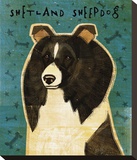 Shetland Sheepdog (Black & White)