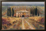 Toscan Vigna