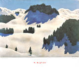 Winter Landscape