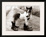 Adult Horse with Giant Boots