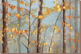 Delicate Branches